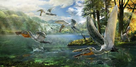 The ecological reconstruction of Ikrandraco avatar is shown in this illustration courtesy of Chuang Zhao. REUTERS/Chuang Zhao/Handout