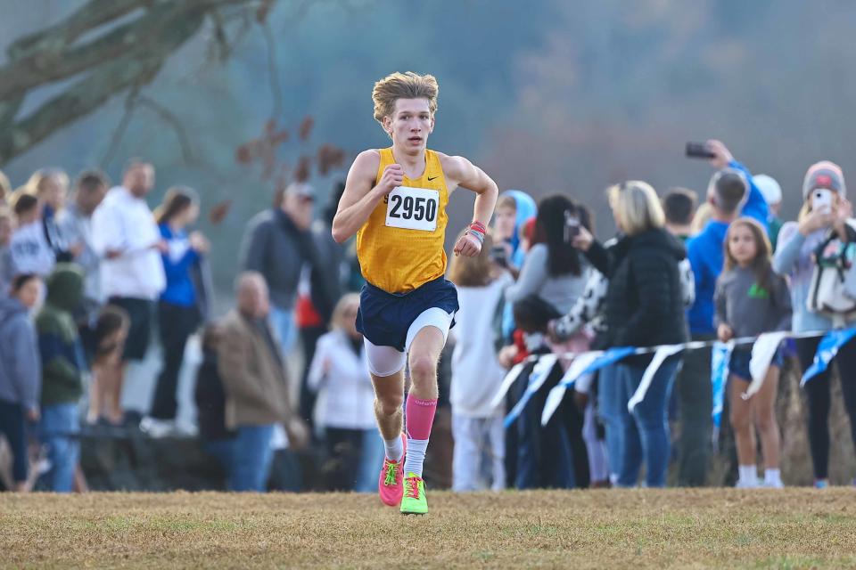 Salesianum School Ethan Walther wins the boys division I race at the DIAA Cross Country Championships Saturday, Nov. 11, 2023; at Brandywine Creek State Park in Wilmington, DE.