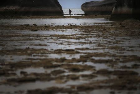 A boy fishes on the rocky east coast of Natuna Besar July 7, 2014. REUTERS/Tim Wimborne