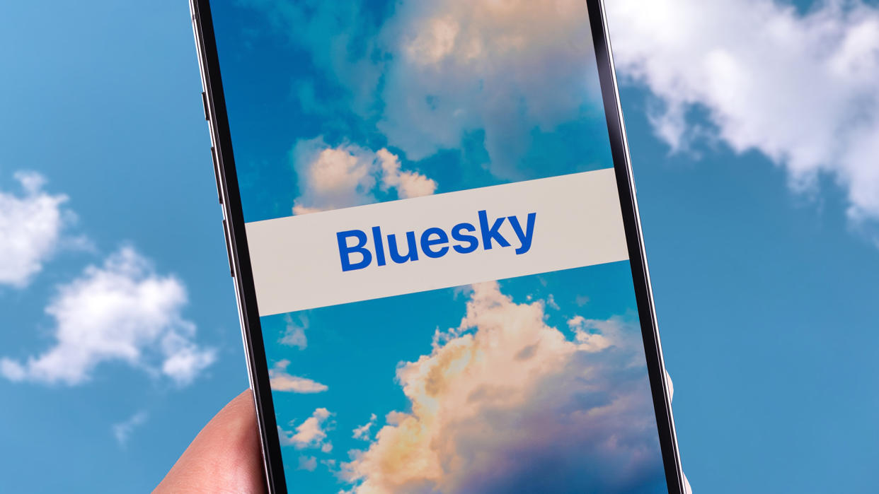  The Bluesky app logo surrounded by blue sky on the Bluesky signup screen. 