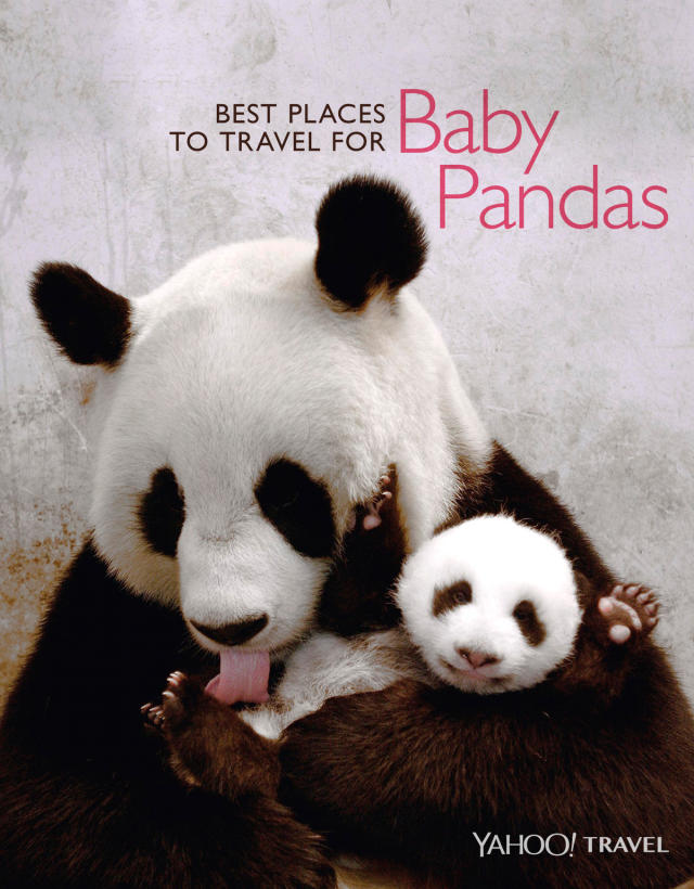 are there any pandas outside of china