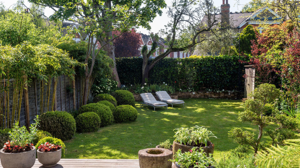 <p> Take time to consider which are the best trees for privacy in your garden. Hasty purchases could result in a tree which is too large for the plot - or the wrong shape to solve the problem.&#xA0; </p> <p> It is tempting to opt for a fast fix such as a rapidly growing evergreen which will shoot up and mask the problem with dense growth in a couple of seasons. But bear in mind that this could also exclude valuable light from your garden, restricting the growth of existing plants. It might also shade the rooms in your house, and even cause conflict with the neighbors.&#xA0; </p> <p> If the issue is with one window which overlooks your property, it may be that a carefully placed single tree will be enough to screen the view. Tree shape is a factor, too. Are you looking for a lacy screen of branches to mask an expansive overlooked area? A multi-stemmed tree might solve that problem. Alternatively, a tree which can be tightly clipped into a neat shape, such as English holly or a Holm oak, could block one specific line of sight. To completely obscure a neighbor&#x2019;s view into your property, trees generally need to be 6-8ft (1.8-2.1m) in height.&#xA0; </p> <p> Whether you&apos;re looking for the&#xA0;best trees for small gardens&#xA0;or ones for bigger plots, the message from the experts is to choose very carefully. According to Tony Kirkham, author of&#xA0;<em>The Kew Gardener&#x2019;s Guide to Growing Trees</em>, &apos;don&#x2019;t be tempted to plant the old-fashioned conifer hedge Leyland Cypress because it is fast growing and cheap to buy. In the long term it will potentially be problematic and ugly.&apos;&#xA0;&#xA0; </p> <p> The first step when choosing the best trees for privacy is to measure your garden, find out which way it faces and what kind of soil you have, as these are important factors which can influence the tree type.&#xA0; </p> <p> Then work out your exact privacy issue. What are you trying to shelter from? According to tree expert Tony Kirkham, &apos;for privacy planting there may be a neighboring property, windows, ugly street furniture or a busy road that you want to hide.&apos; </p> <p> Use our selection to choose a privacy tree which will add value and interest to your garden as well as solving a common problem. &#xA0; </p> <p> <em>By Fiona Cumberpatch</em> </p>