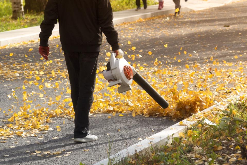 These Are the Best Leaf Blowers for Maintaining Curb Appeal