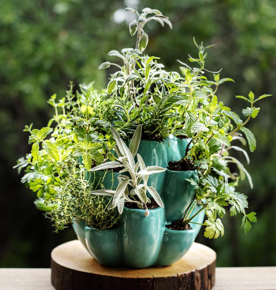 More than a dozen pockets add interest to this gardening pot.