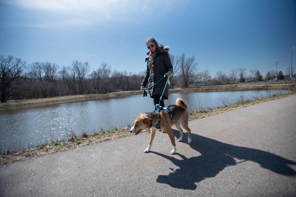 Caitlin Watts of Lansing and dog Winnie walk on one of the trails along Red Cedar Parkway in Lansing next to a holding pond that is part of the one-square-mile watershed Montgomery Drain Project, Monday, March 11, 2024.