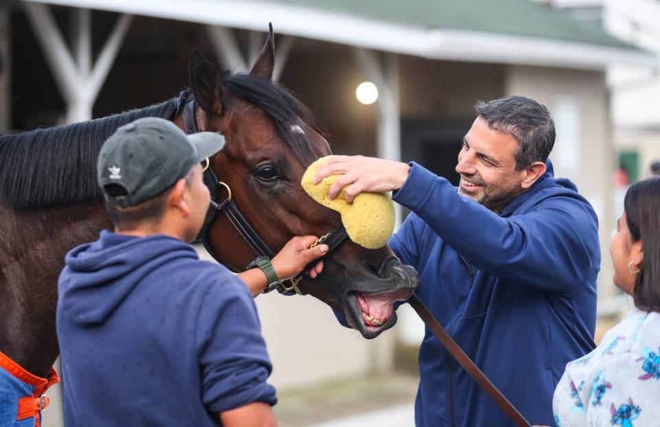 Kentucky Derby contender Fierceness makes a face as owner Mike Repole helps clean him after a workout Friday morning at Churchill Downs.
