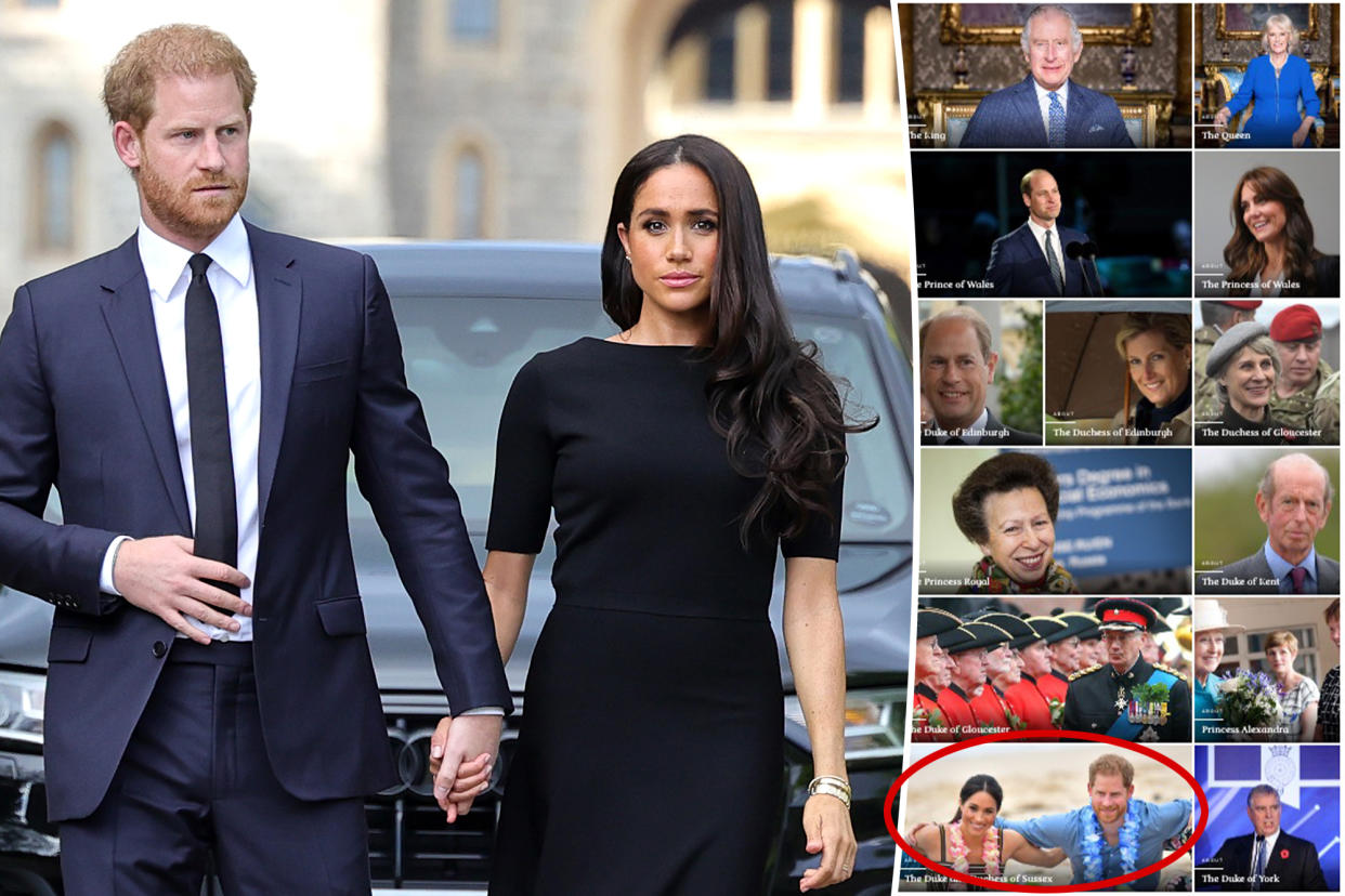 Prince Harry and Meghan Markle subtly 'demoted' on Buckingham Palace website