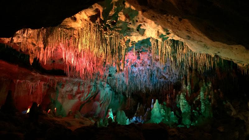 Tour the mystic beauty of Florida Caverns State Park. The tour moves at a leisurely pace through a dozen cave rooms with a visual array of stalactites, stalagmites, flowstones and draperies. Visitors learn about the cave's history and interesting geological formations.