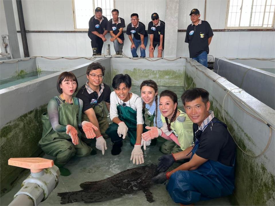 介紹龍膽石斑扮成「雌雄同體」！阿翔驚悚模樣曝光讓人不敢靠近