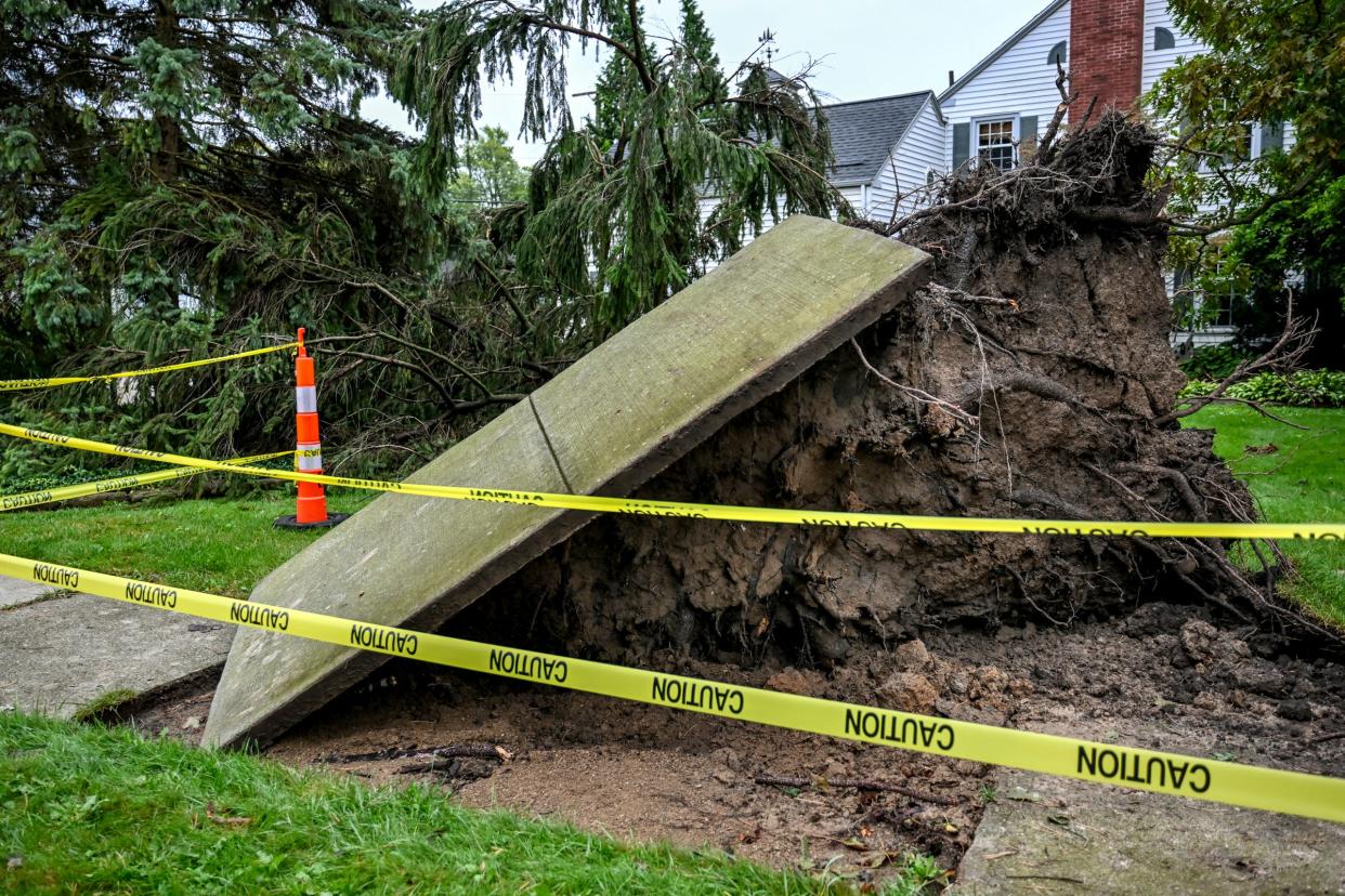 An uprooted tree holds a piece of the sidewalk off the ground on Southlawn Avenue after Tuesday's storms in East Lansing on Wednesday, Aug. 28, 2024.