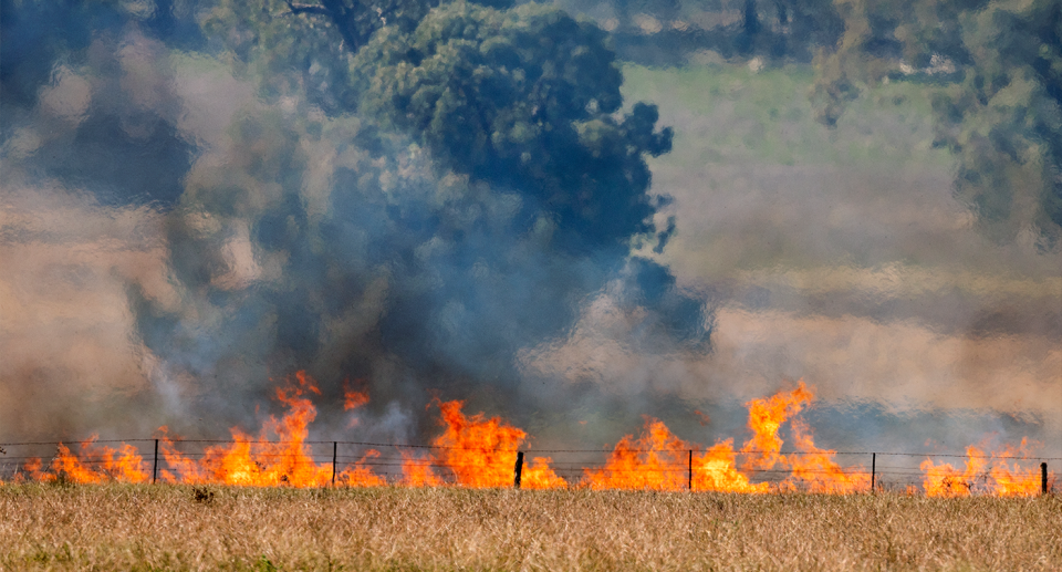 Extreme heat and smoke will disrupt industries like agriculture and construction. Source: Getty