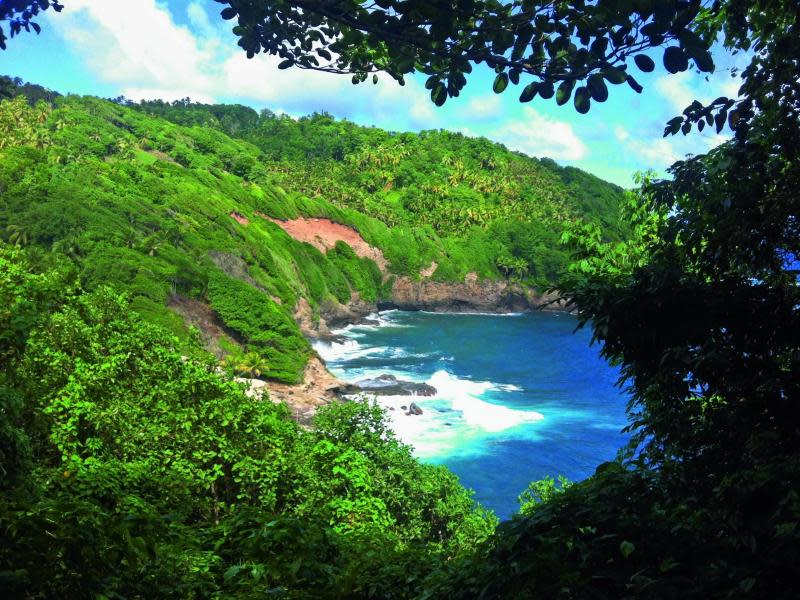 Wie in dieser Bucht auf Dominica stellt man sich die Karibik vor. Die Region liegt voll im Trend, bestätigt die DER Touristik. Zum Winter soll das Angebot durch günstige Flüge noch attraktiver sein. Foto: DER Touristik