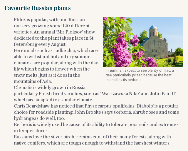 Favourite Russian plants