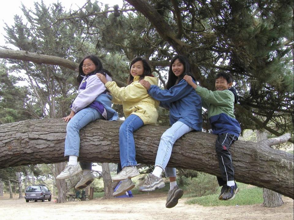 Kathy's children climbing tree at the China Camp State Park in San Rafael, CA