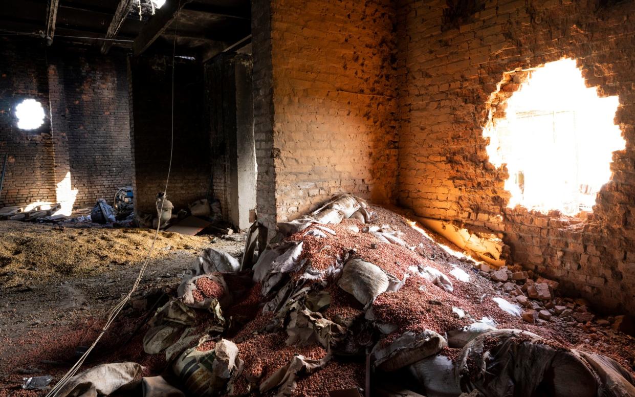 Scattered grain sits inside a warehouse damaged by Russian attacks in Cherkaska Lozova on Saturday - Bernat Armangue 