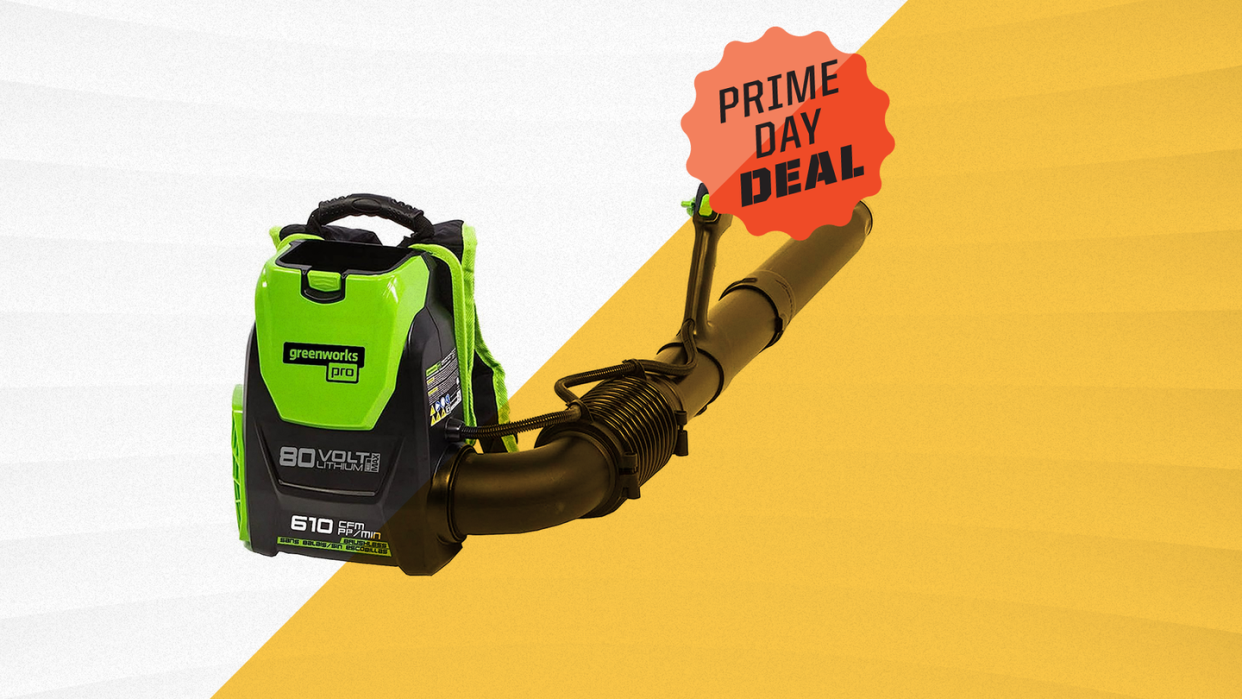 greenworks backpack leaf blower, prime day deal