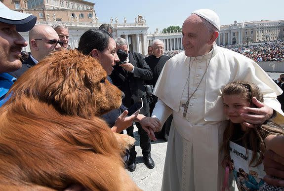 This dog is clearly somewhat awed by the occasion.