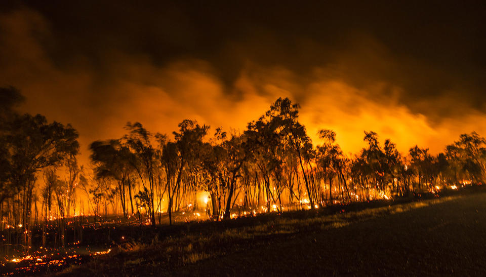 The orange glow of this night view of a bushfire in the Northern Territory. 