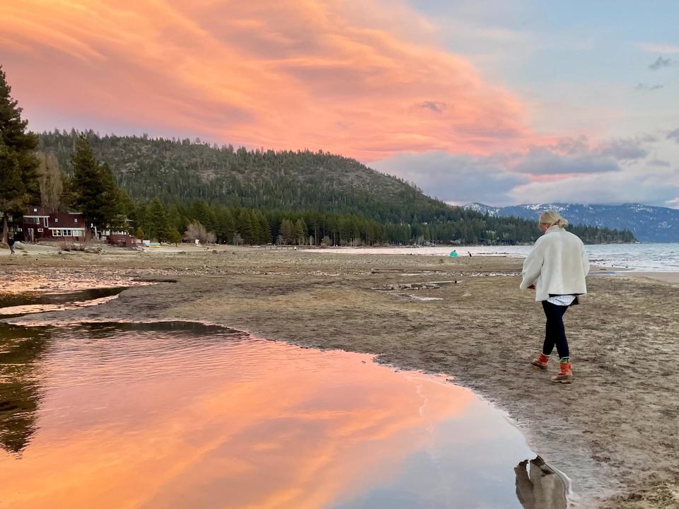 View of california forest by cost line and pastel sky