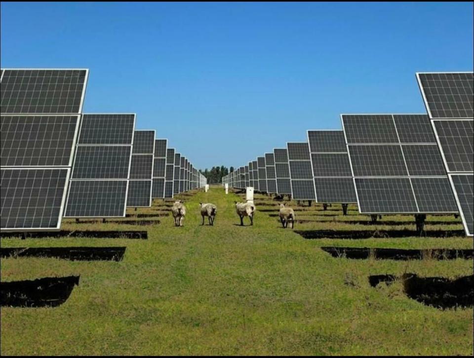 Umbrella alcanza su primer proyecto “ready to build” en Reino Unido que hibridará energía solar y baterías