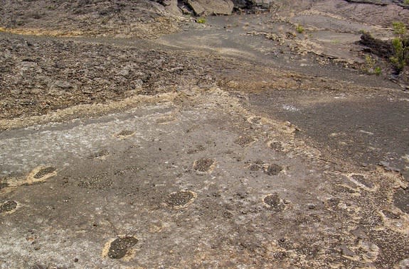 Footprints preserved in Kilauea volcano ash deposits.