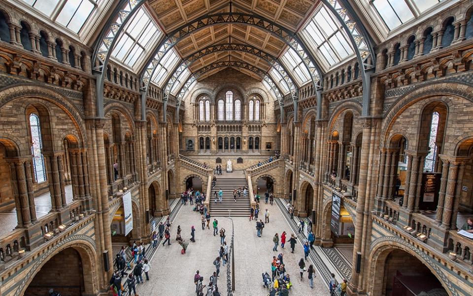 Natural History Museum, London