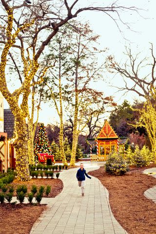 <p>Gabriela Herman</p> The Dallas Arboretum comes alive with glowing lights.