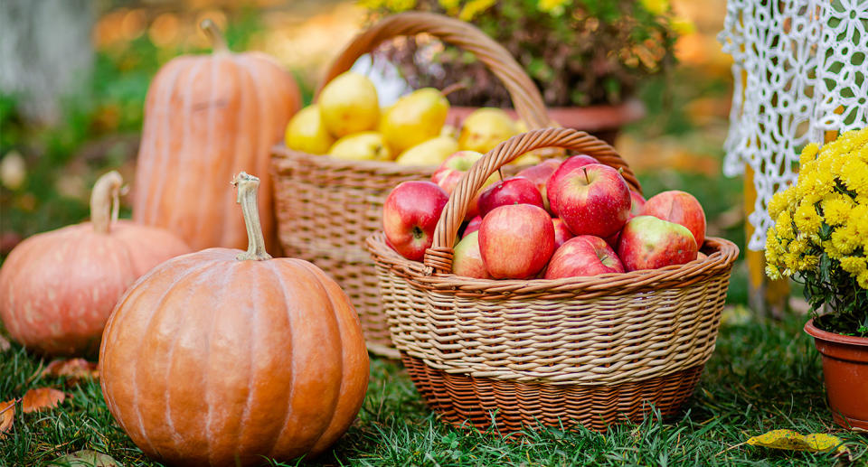 Seasonal superfood autumn. (Getty Images)