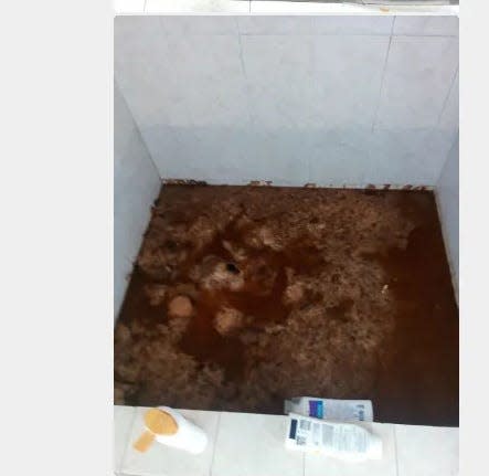 A photo Bernadette Mohorn made of sewage backed up in the shower of the dilapidated apartment building in Pahokee she was forced out of when the county invoked emergency powers to shut the units down. She said when she plunged it, it then came out of the sink in the downstairs apartment, which housed a mom and newborn. Along with raw sewage, dangerous electrical conditions also were present in the complex. 