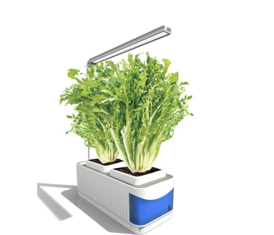 Indoor garden lamp herb full spectrum hydroponics kit. (PHOTO: Shopee)