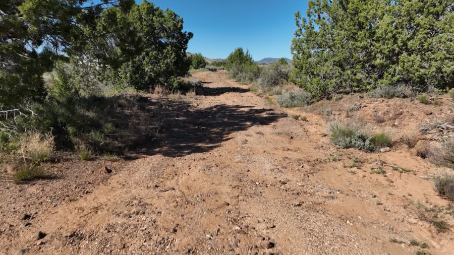 <em>Investigators with the Washington County Sheriff’s Office believe dozens of pets were dumped across at least two sites north of St. George, Utah. (KLAS)</em>