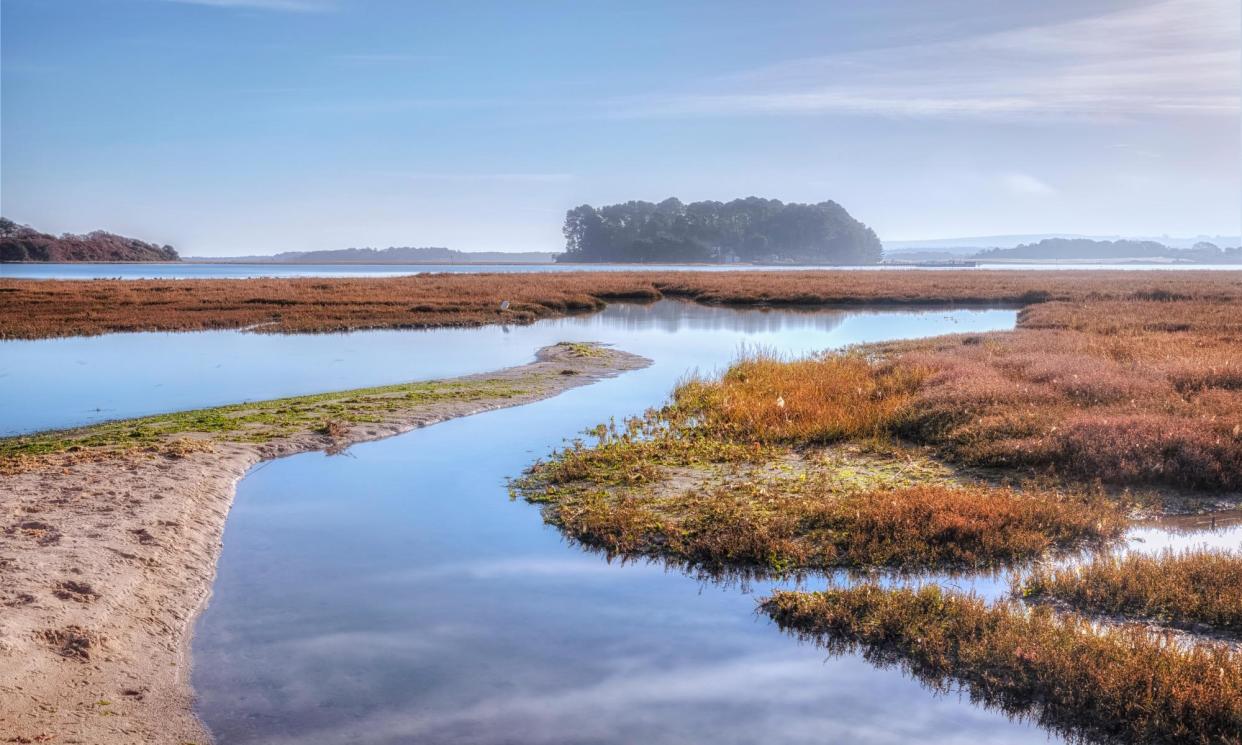 <span>Arne, in the west of Poole harbour, is a nature reserve which hosts all six of the UK’s native reptile species.</span><span>Photograph: Joana Kruse/Alamy</span>