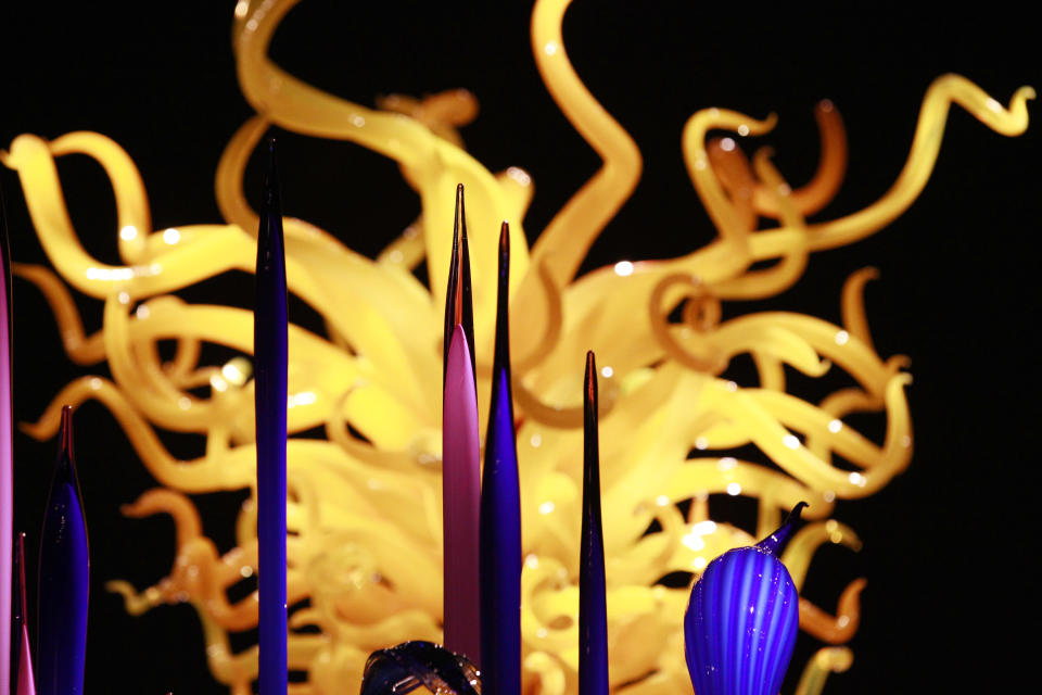 Chihuly