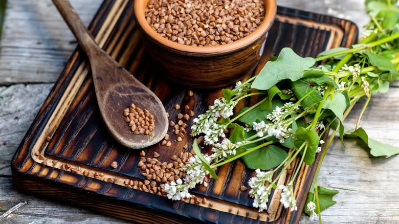 buckwheat flowers and seeds