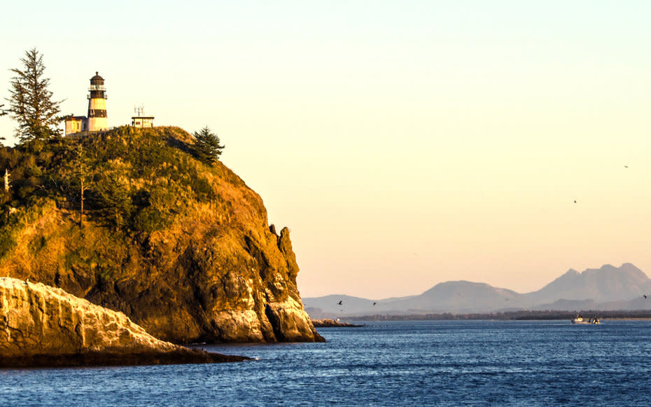 <p>This lighthouse earned its name after Captain John Meares failed to find shelter from a storm in 1775, penning, Disappointment continued to accompany uswe can safely exert that no river San Rogue exists. This tower was actually built twice; its first Fresnel lens, which it got in 1854, turned out to be way too bit. They rebuilt the tower to better fit it, finally turning its light seaward in 1856.</p>