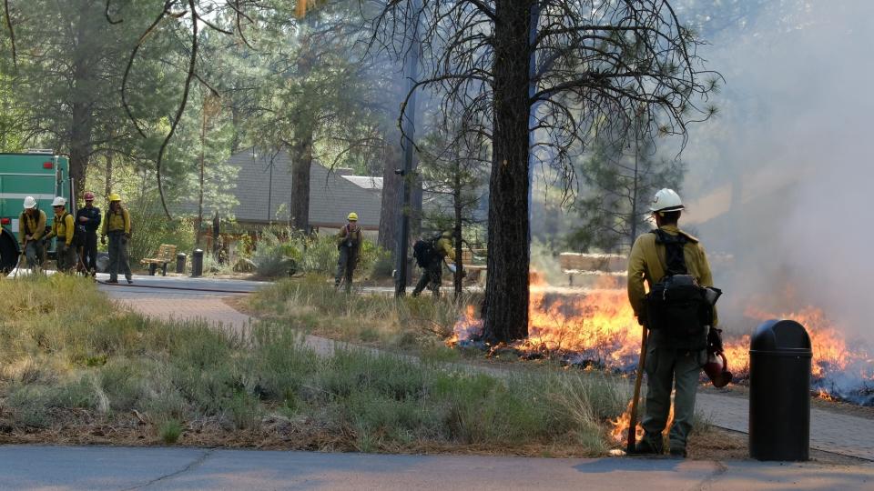 In this May 14, 2021, photo provided by the High Desert Museum, U.S. Forest Service firefighters carry out a prescribed burn on the grounds of the High Desert Museum, near Bend, Oregon. The prescribed burn is part of a massive effort in wildlands across the West to prepare for a fire season that follows the worst one on record. (Kyle Kosma/High Desert Museum via AP)