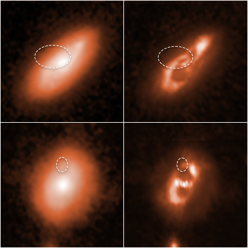 Astronomers using the Hubble Space Telescope have tracked down two brief, powerful radio bursts to the spiral arms of the two galaxies shown above. The two images at left show the full Hubble snapshots of each galaxy. The two digitally enhanced images on the right reveal each galaxy's spiral structure in more detail. The dotted oval lines in each of the four images mark the location of the brilliant radio flares. / Credit: SCIENCE: NASA, ESA, Alexandra Mannings (UC Santa Cruz), Wen-fai Fong (Northwestern) IMAGE PROCESSING: Alyssa Pagan (STScI)