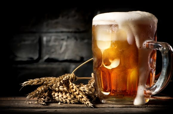 A foamy mug of beer with a sheaf of hops beside it