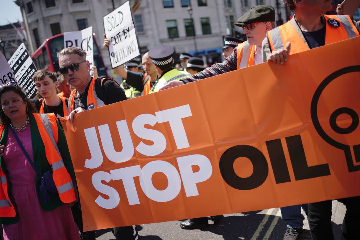 Dale Vince at a Just Stop Oil protest  (PA Wire)