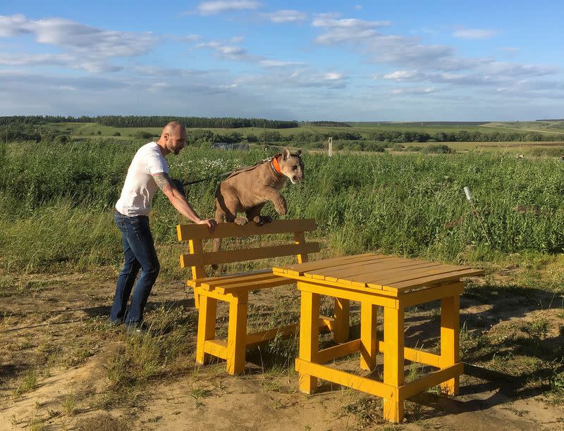 FILE PHOTO: Aleksandr Dmitriev plays with his family pet Messi, a two-year-eight-month-old cougar, in the town of Penza