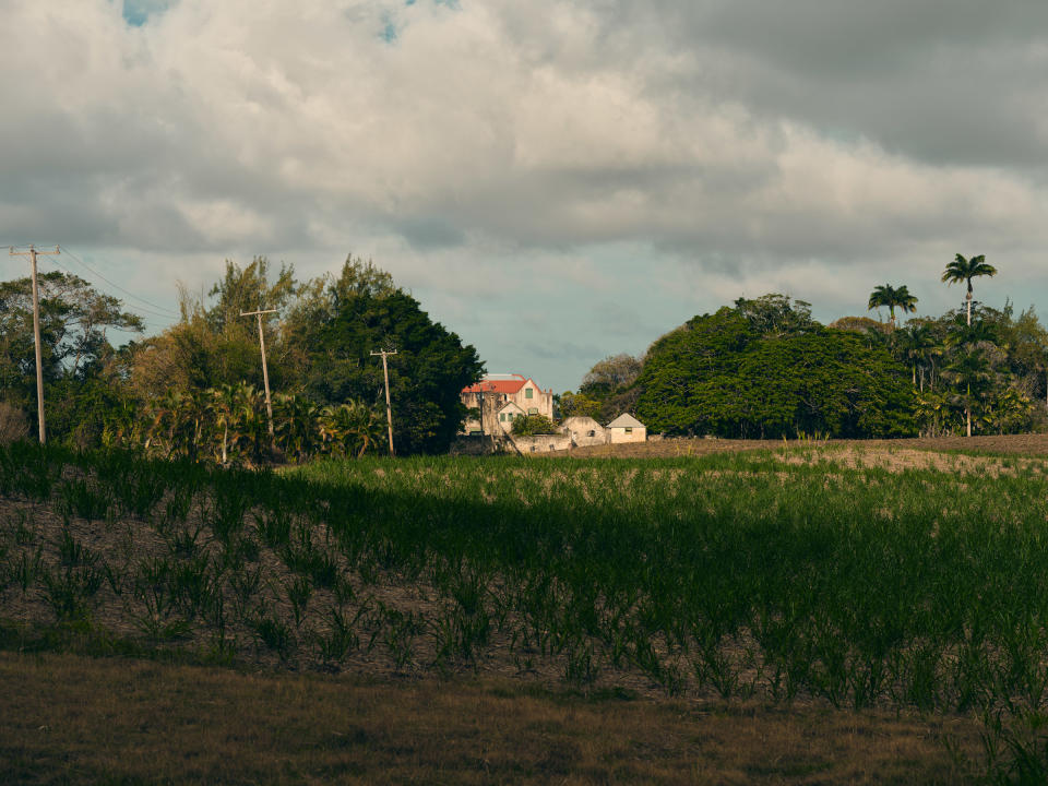 In operation since the 1640s, Drax Hall was central to the perfection of slave-plantation efficiency and exporting that system to other islands as well as the American south.<span class="copyright">Christopher Gregory-Rivera for TIME</span>