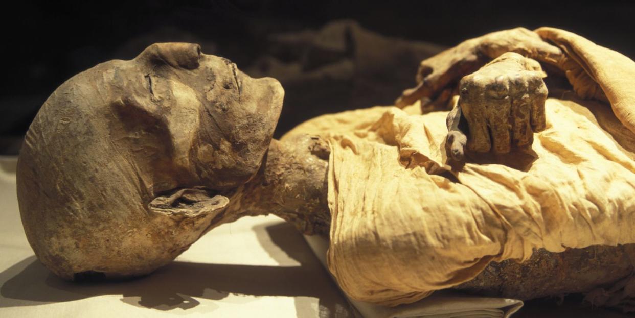 egypt's mummies