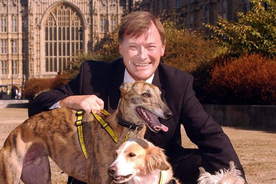 Sir David Amess outside the Houses of Parliament in Westminster (PA)