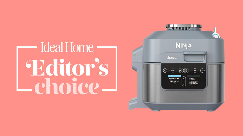 Ninja speedi air fryer