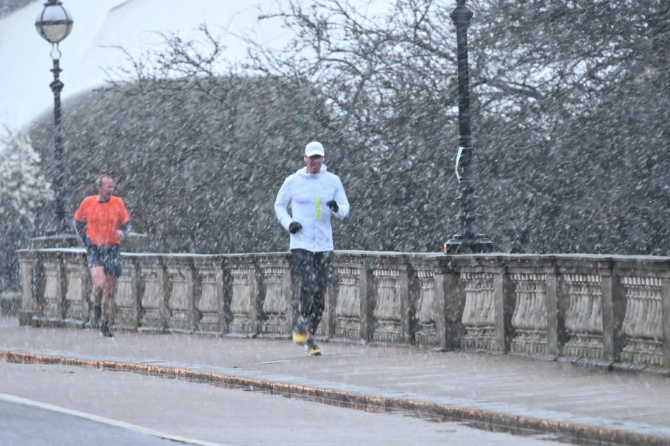 Snow in Hyde Park (Jeremy Selwyn)