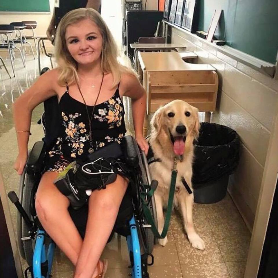 Gauge the 6-year-old golden retriever serves as a mobility dog for Erin Bischoff