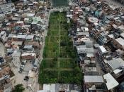 The Horta de Manguinhos, the biggest urban garden in Latin America in the Manguinhos favela in Rio de Janeiro