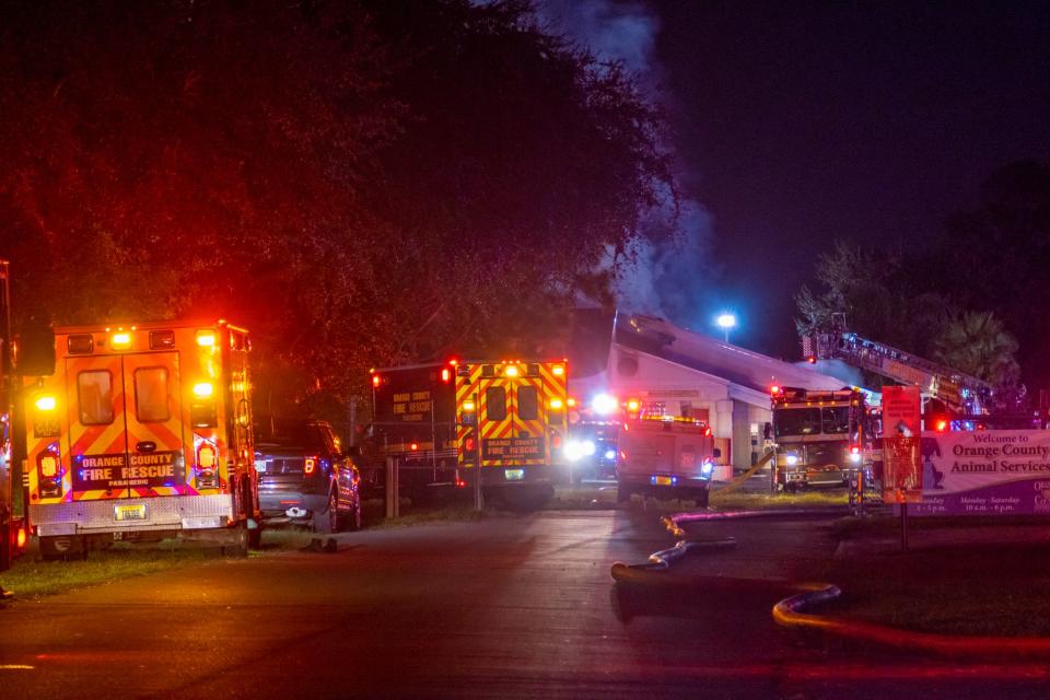 Dozens of dogs were safe and dozens of cats are feared dead after a fire at the Pet Alliance of Greater Orlando on Conroy Road.