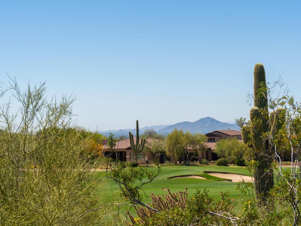 Foliage and cacti inn front of a golf course in front of homes in front of a mountain range