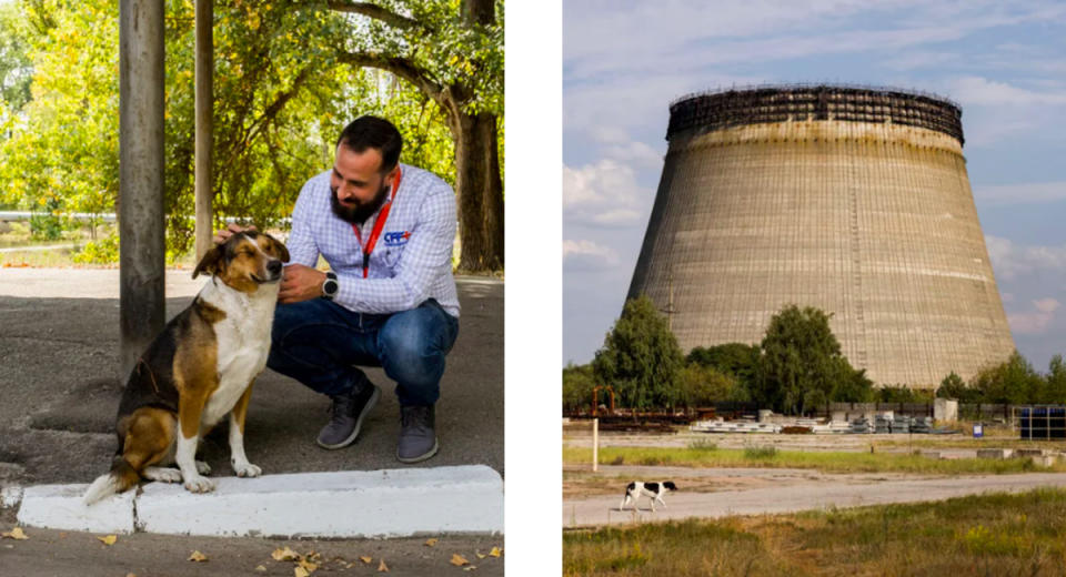 Meet the pups looking for new homes in the Chernobyl Exclusion Zone. (Photo: Airbnb)